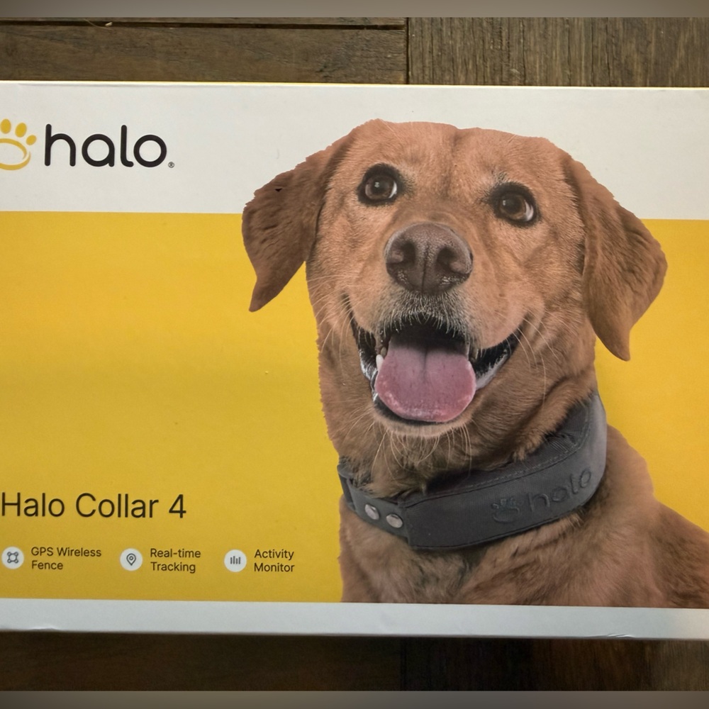 Halo Collar 4 - Orange
